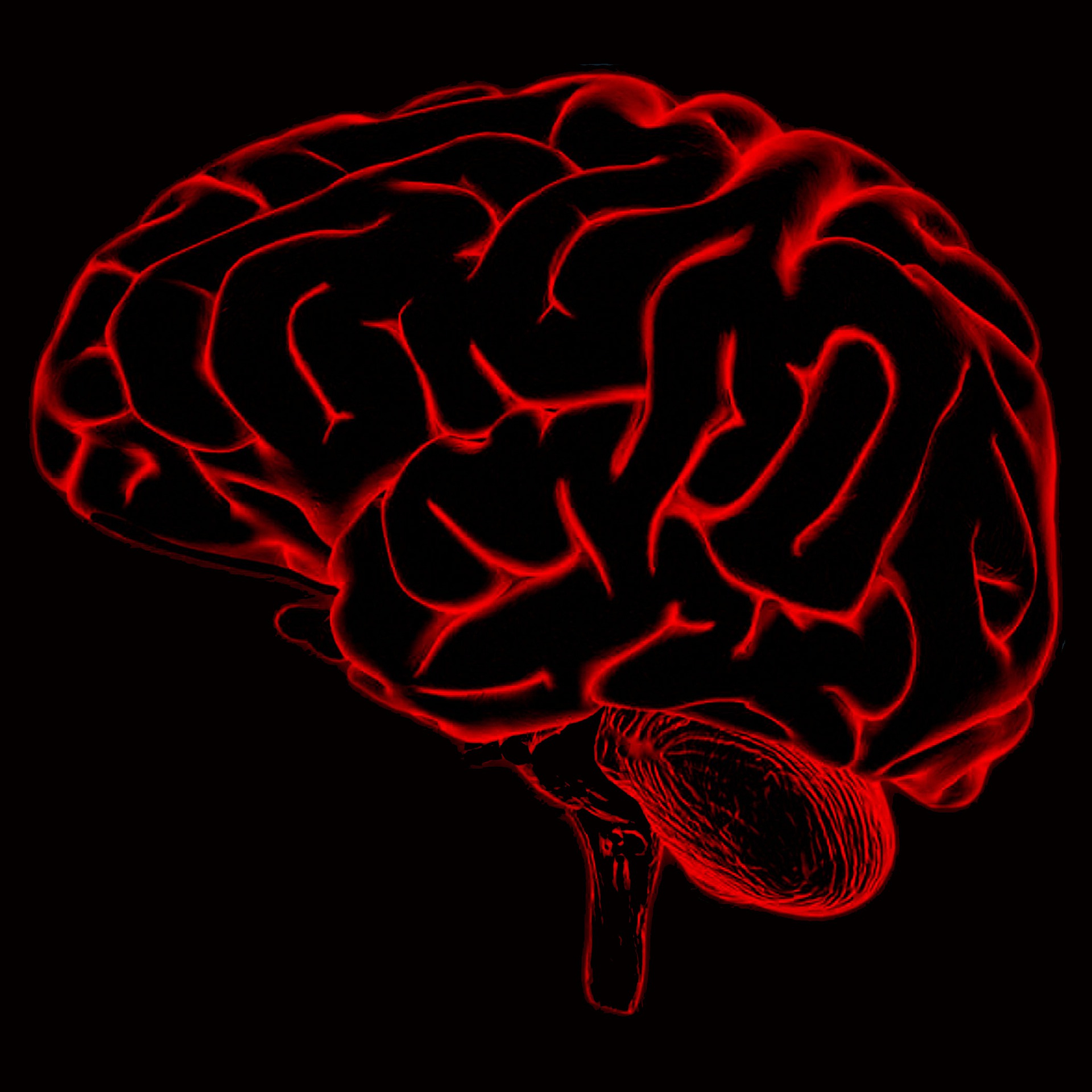 Evidencias De Neurofeedback Ipsia Psicología